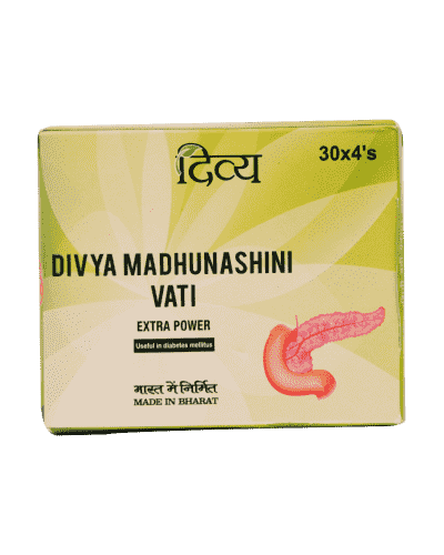Patanjali Divya Madhunashini Vati Extra Power - 120 Tablets